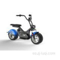 Carga pesada Suspensión completa Eco Motocicleta Electric CityCoCo